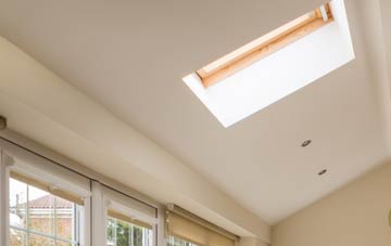 Raffrey conservatory roof insulation companies