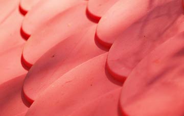 Raffrey plastic roof costs