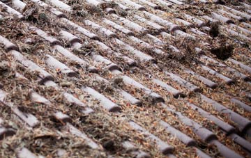 Raffrey roof cleaning companies